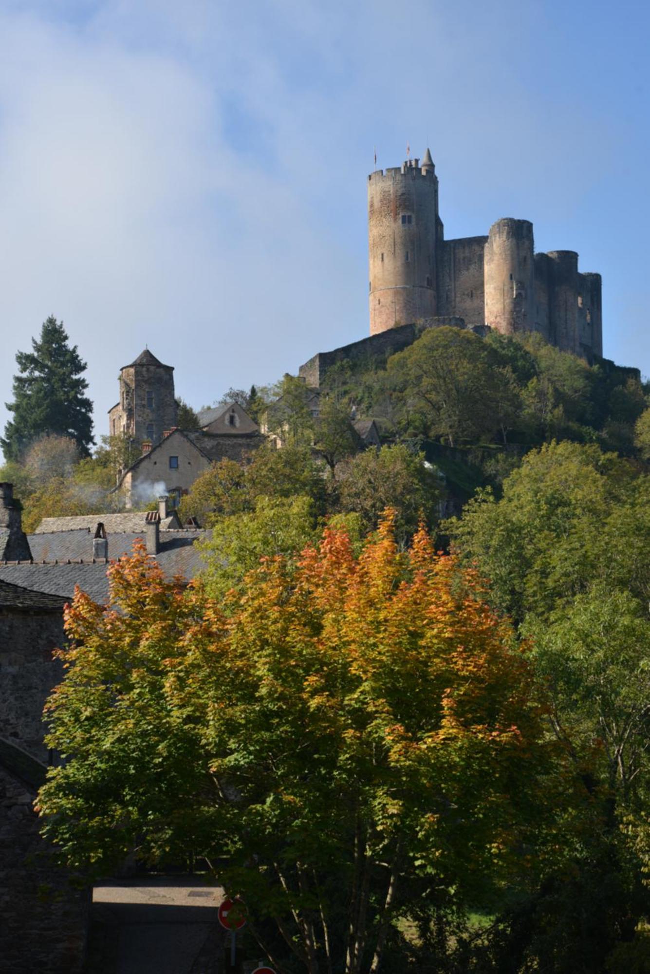 Gite La Baraque Najac Exterior foto